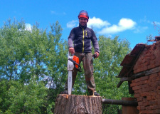Снимка на арборист режещ дърво