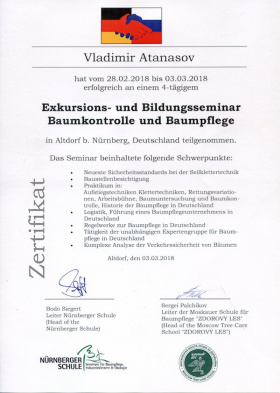 Сертификат за извършване на арбористки услуги (изображение).